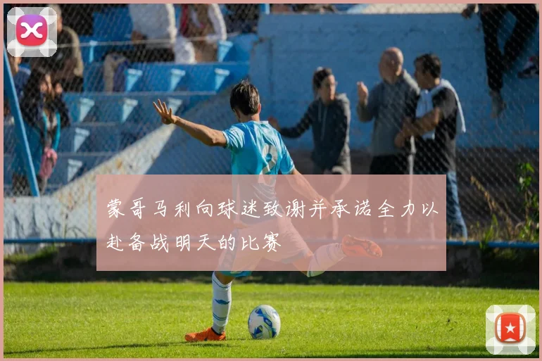 蒙哥马利向球迷致谢并承诺全力以赴备战明天的比赛